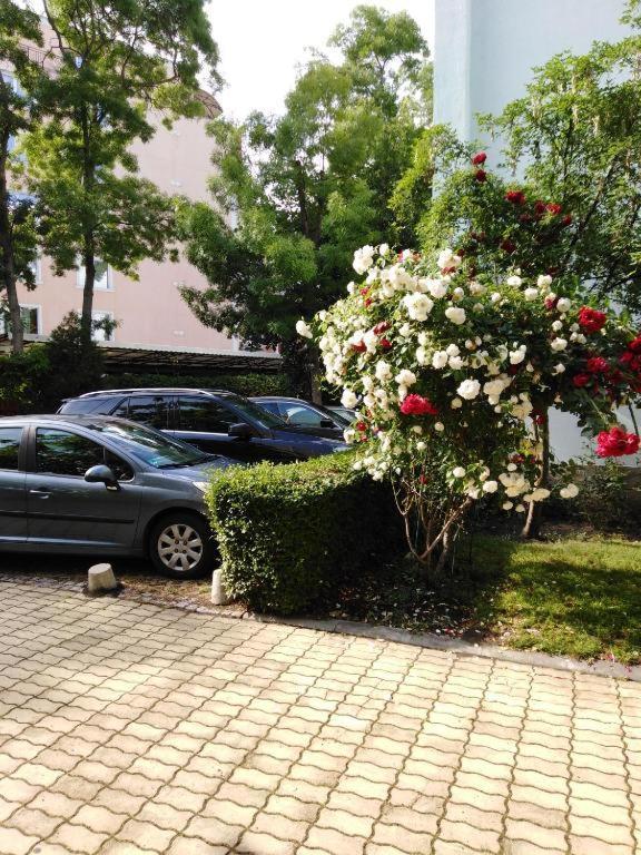 Guest Apartment Dental Space Pantai Sunny Luaran gambar